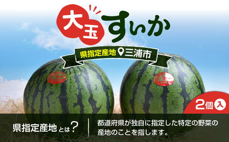 神奈川県 三浦市 産大玉すいか（ 2個 ） M109-007 果物 すいか