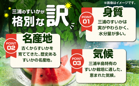 神奈川県 三浦市 産大玉すいか（ 2個 ） M109-007 果物 すいか