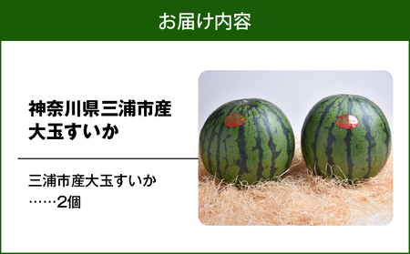 神奈川県 三浦市 産大玉すいか（ 2個 ） M109-007 果物 すいか