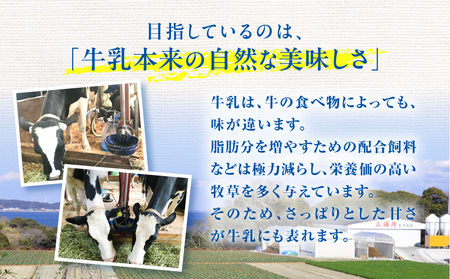 みうらみるく 飲みきりサイズ 200ml × 5本 M091-001-02 牛乳 ノンホモ牛乳 コーシンファーム ふるさと納税 神奈川県 三浦市 おすすめ ランキング プレゼント ギフト