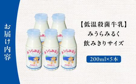 みうらみるく 飲みきりサイズ 200ml × 5本 M091-001-02 牛乳 ノンホモ牛乳 コーシンファーム ふるさと納税 神奈川県 三浦市 おすすめ ランキング プレゼント ギフト