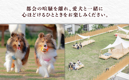 ペットと泊まるホテル Doki Doggie 油壷 globe ペア宿泊券（1泊2食付き） M131-002-02 チケット 体験