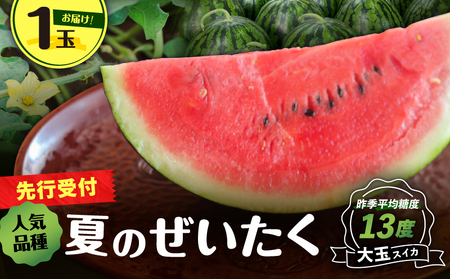 【 高糖度 】 三浦 の 大玉 スイカ 1玉【 露地栽培 】 M072-001-01 甘い 甘味 果物 フルーツ 西瓜 夏季 期間限定 限定 すいか 旬の果物 果実 贈答 プレゼント 角田農園 ふるさと納税 神奈川 三浦市 おすすめ ランキング ギフト