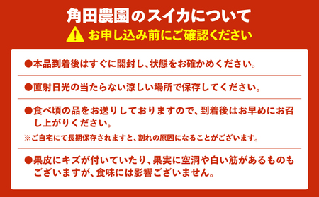 【 高糖度 】 三浦 の 大玉 スイカ 1玉【 露地栽培 】 M072-001-01 甘い 甘味 果物 フルーツ 西瓜 夏季 期間限定 限定 すいか 旬の果物 果実 贈答 プレゼント 角田農園 ふるさと納税 神奈川 三浦市 おすすめ ランキング ギフト