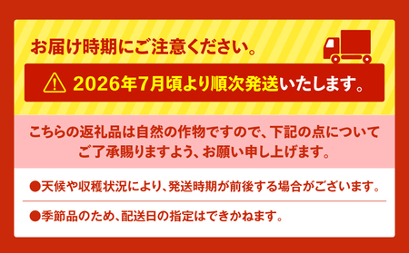 【 高糖度 】 三浦 の 大玉 スイカ 1玉【 露地栽培 】 M072-001-01 甘い 甘味 果物 フルーツ 西瓜 夏季 期間限定 限定 すいか 旬の果物 果実 贈答 プレゼント 角田農園 ふるさと納税 神奈川 三浦市 おすすめ ランキング ギフト
