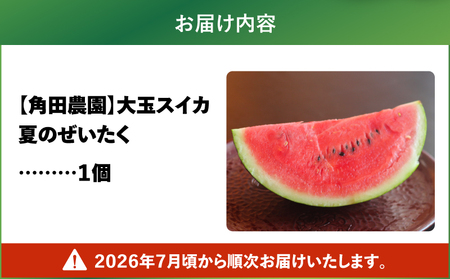 【 高糖度 】 三浦 の 大玉 スイカ 1玉【 露地栽培 】 M072-001-01 甘い 甘味 果物 フルーツ 西瓜 夏季 期間限定 限定 すいか 旬の果物 果実 贈答 プレゼント 角田農園 ふるさと納税 神奈川 三浦市 おすすめ ランキング ギフト