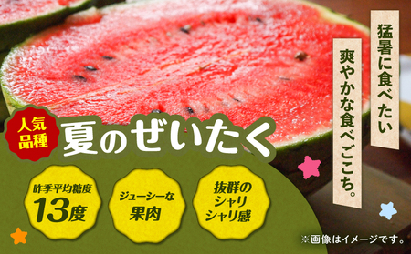 【 高糖度 】三浦 の 大玉 スイカ 2玉【 露地栽培 】 M072-001-02 甘い 甘味 果物 フルーツ 西瓜 夏季 期間限定 限定 すいか 旬の果物 果実 贈答 プレゼント 角田農園 ふるさと納税 神奈川 三浦市 おすすめ ランキング ギフト