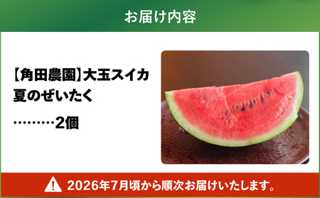 【 高糖度 】三浦 の 大玉 スイカ 2玉【 露地栽培 】 M072-001-02 甘い 甘味 果物 フルーツ 西瓜 夏季 期間限定 限定 すいか 旬の果物 果実 贈答 プレゼント 角田農園 ふるさと納税 神奈川 三浦市 おすすめ ランキング ギフト