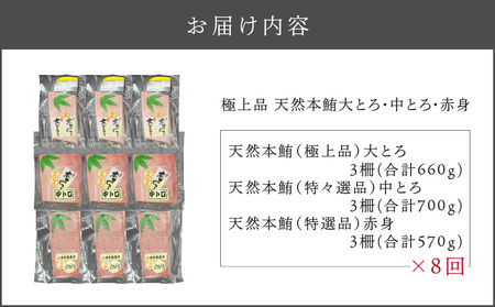 【 全8回 定期便 】 極上品 天然 本鮪 大とろ 3柵 ・ 中とろ 3柵 ・ 赤身 3柵 M007-T04 冷凍 定期