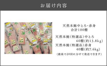 天然 本鮪 中とろ ・ 赤身 合計 100柵 M007-008-03 冷凍 マグロ