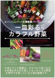 1-92一皿彩るカラフル野菜つめ合わせセット