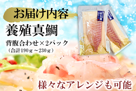 A12-045　【高鮮度】鮮魚活〆真鯛お刺身セット