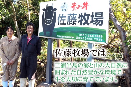 【神奈川県産黒毛和牛】三浦市の佐藤牧場が育てた葉山牛 切り落とし2P M079-006-01