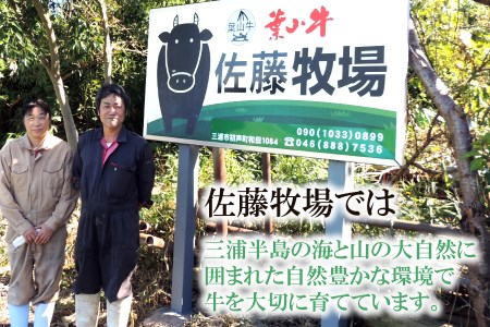 【神奈川県産黒毛和牛】三浦市の佐藤牧場が育てた葉山牛 肩ロースすき焼き肉2P M079-007-01