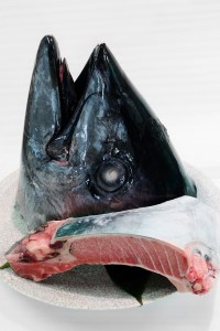 2-54BBQに最適!!天然三崎まぐろカブト+カマセット