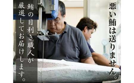 メカジキ特選味噌漬、特選粕漬、西京漬 各1枚 M005-047 