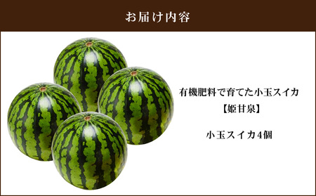 有機肥料 で 育てた 小玉 スイカ 【 姫甘泉 】（ 4個入り ） M002-005 すいか 西瓜 フルーツ 果物 果実 小玉スイカ オリジナル ジューシー 甘い 夏季限定 限定 数量限定 期間限定 あまい 美味しい おいしい デザート ご褒美 みずみずしい 季節物 季節商品 旬の果物 贈答 プレゼント 丸徳農産 ふるさと納税 神奈川 三浦市 おすすめ ランキング ギフト
