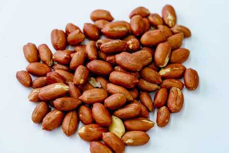 落花生 豆 毎日食べたい落花生セット（5袋）B  009-05-1