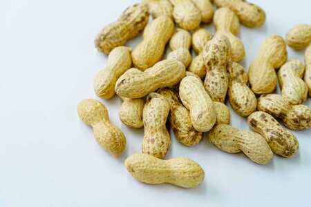 落花生 豆 毎日食べたい落花生セット（5袋）B  009-05-1