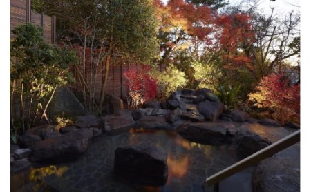 011-12jin 元湯陣屋のフリードリンク付日帰り温泉ご入浴1名様