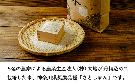 008-12大地の秦野の米（さとじまん）5kg | 神奈川県産 秦野市 大地 5kg 5キロ 米 こめ コメ お米 白米 精米 お取り寄せ 贈答 人気 ランキング ごはん ご飯 贈り物 5キロ 風味 甘い 甘み ブランド米 人気米 新米 1袋 ちょうどいい おいしい 美味しい 美味 ふっくら ツヤ 備蓄 災害対策 予約 先行予約 先行 発送 | 008-12