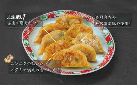 【年内発送受付中！】餃子 豪華焼きたてセット（葉にんにくバーグ９個×３袋・はだの餃子36個×２袋）冷凍 おかず