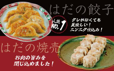 餃子 焼売 豪華お試し中華セット 