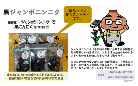 黒ニンニク【先行予約！8月以降順次発送】黒ジャンボニンニク　秦野熟成（200g）/ 