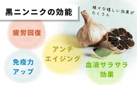 黒ニンニク【先行予約！8月以降順次発送】黒ジャンボニンニク　秦野熟成（200g）/ 