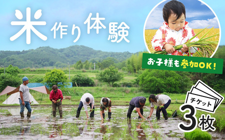 米作り 体験 秦野里山米作り体験　イベント3回分チケット 056-01　
