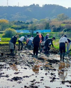 米作り 体験 秦野里山米作り体験　イベント3回分チケット 056-01　