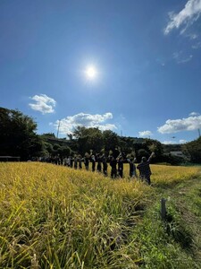 米作り 体験 秦野里山米作り体験　イベント3回分チケット 056-01　