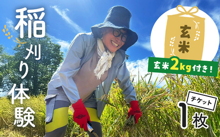 稲刈り 体験 秦野里山稲刈り体験　玄米2キロ付き 033-02