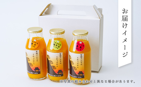 秦野産 みかん 100% ストレートジュース（3本）/ おまかせ 農家 こだわり セット 果物 みかん みかんジュース デザート 果汁100％ 搾りたて 新鮮 美味 おいしい ストレートジュース オレンジジュース フレッシュ 柑橘 旬 ストレート 濃厚 飲みきり サイズ 飲みやすい お子様 健康 ビタミン 神奈川 秦野/ 003-01