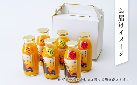 みかんジュース(180ml×6本) |果汁100% ストレート みかんジュース 秦野市
