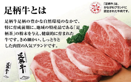 足柄牛プレミアムハンバーグ150g 6個入| 牛100% 国産 牛肉 足柄牛 ハンバーグ 冷凍