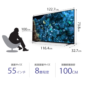 ソニー BRAVIA 55型 4K有機ELテレビ(設置含む)XRJ-55A80L SONYテレビ 4K有機ELテレビ 4Kテレビ 大型テレビ