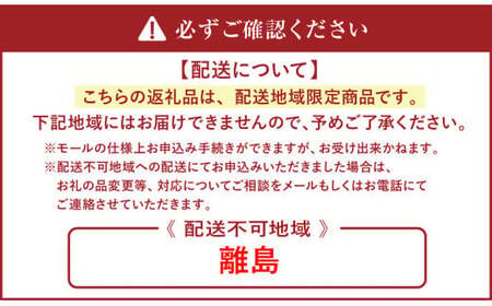 アイスケーキ・コクシネルアトウキョウ 5号 アイスクリーム シャーベット ケーキ 