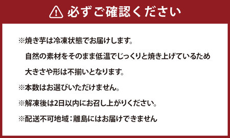熟成焼き芋 3種 食べ比べ ＜ 店主お任せの 蜜芋 & ホクホク芋 ＞ やきいも 1kg ！（4～5本） 焼き芋 スイーツ