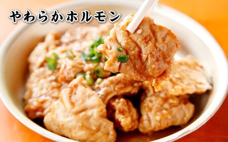 珍満焼肉セット タレ漬け豚シロマル、やわらかホルモン、タレ漬けシロセット 約620g 豚肉 料理 おつまみ バーベキュー 焼き肉 キャンプ セット 食べ比べ 冷凍 神奈川県 大和市