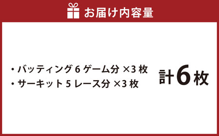 バッティング 6ゲームカード×3枚 サーキット 5レースカード×3枚セット 計6枚 大和レジャースポーツプラザ ビッグバン 野球 打撃練習 チケット 利用券 室内 スポーツ アミューズメント 神奈川県 大和市