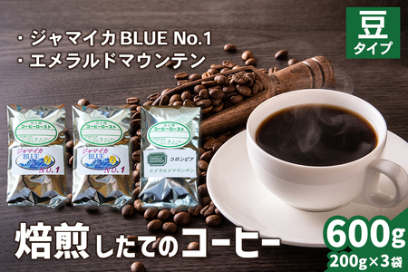 焙煎したてのコーヒー豆 3袋 (ジャマイカBLUEマウンテンNo.1・エメラルドマウンテン)【豆】[0273]