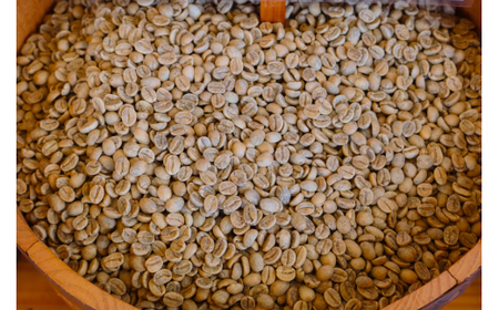 焙煎したてのコーヒー豆 3袋 (クレオパトラ・アンデスマウンテン・ラ カンデリージャ)【豆】[0346]