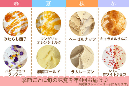 [定期便／約3ヶ月に1回 全4回] 石田牧場のジェラート屋めぐり おまかせ ジェラート 計48個 (12個×4回)｜石田牧場 ジェラート 伊勢原 贅沢素材 アイス アイスクリーム スイーツ ギフト 詰め合わせ 贈り物 プレゼント 人気 お取り寄せ [0358]