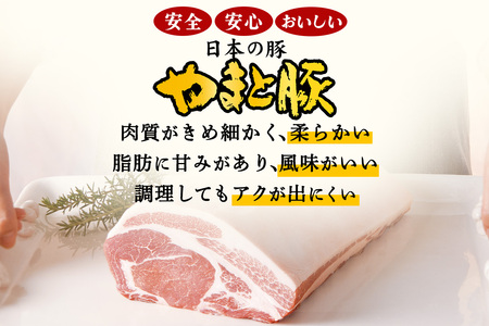 フリーデン やまと豚 ナチュラル無塩せきセット｜ソーセージ ウインナー チョリソー ベーコン ロースハム [0365]