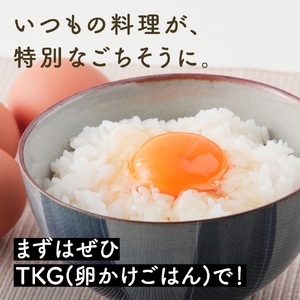 坂本養鶏 大山の麓で育った さかもとのたまご 40個 (36個＋割れ保証4個)｜伊勢原市 赤玉卵 玉子 鶏卵 生卵 国産 TKG タマゴ 新鮮 大山 鶏 ギフト 安心 安全 親子丼 卵焼き 目玉焼き お菓子 [0702]