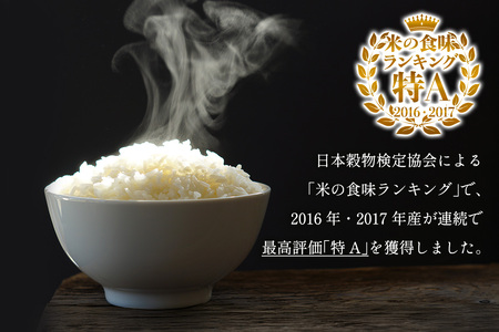 新米 [令和7年産] 伊勢原産 精米10kg(5kg×2袋) はるみ 農家直送！加藤さんちのうんめぇ！自家製米｜先行予約 お米 おこめ コメ 白米 神奈川 伊勢原 ブランド米 [0524]