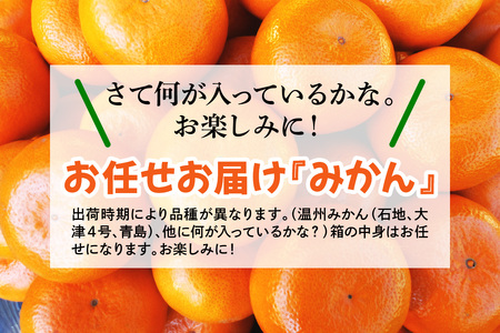 [2026年1月下旬頃から発送] みかん 9kg 品種おまかせ｜先行予約 みかん フルーツ 果物 柑橘 [0530]