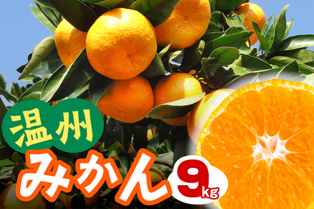 [2025年12月下旬頃から発送] 温州みかん 9kg｜先行予約 みかん フルーツ 果物 柑橘 [0536]