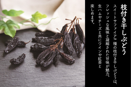 ドライフルーツ 4種 食べ比べセット 計338g (パイナップルの「芯」から生まれたドライフルーツ、ゆずピール、甘夏ピール、枝付き干しぶどう)｜柑橘 ブドウ 果物サプリメント 消化酵素 ポリフェノール おつまみ 防災食品 非常食 備蓄食 保存食 [0622]